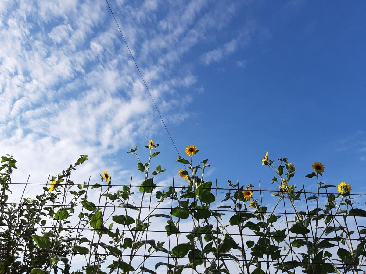 Guesthouse Kume Imabari Exterior photo